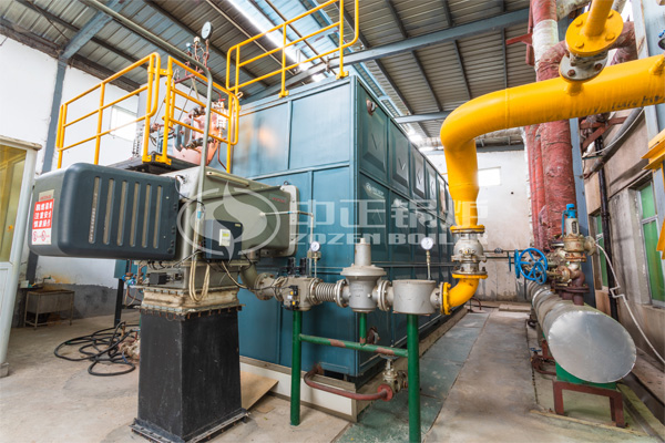中小型化工廠6噸燃?xì)庹羝仩t